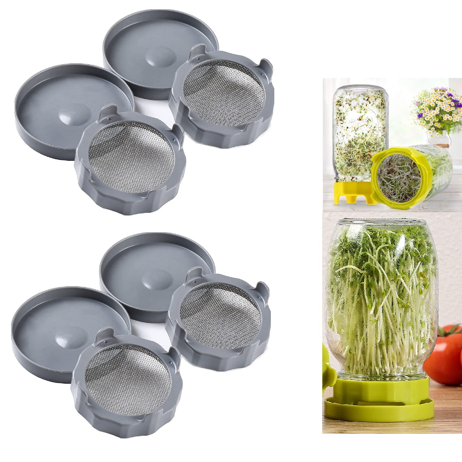Daupanzees 4 Set Sprouting Lids with Stainless Steel Screen, Plastic Indoor Seeds Sprout Lid