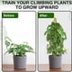 thumbnail image 5 of Poste de musgo de coco, 1 pieza de poste de musgo real, soporte para plantas, palos de musgo, artesanía excepcional, 5 of 8