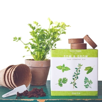 Nature’s Blossom Herb Garden Grow Kit - Grow 5 Different Herbs from