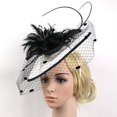 thumbnail image 1 of Fascinator de Sombrero de Plumas en Punta de cabellero Negras para Mujer Colco Fascinador de plumas, 1 of 7