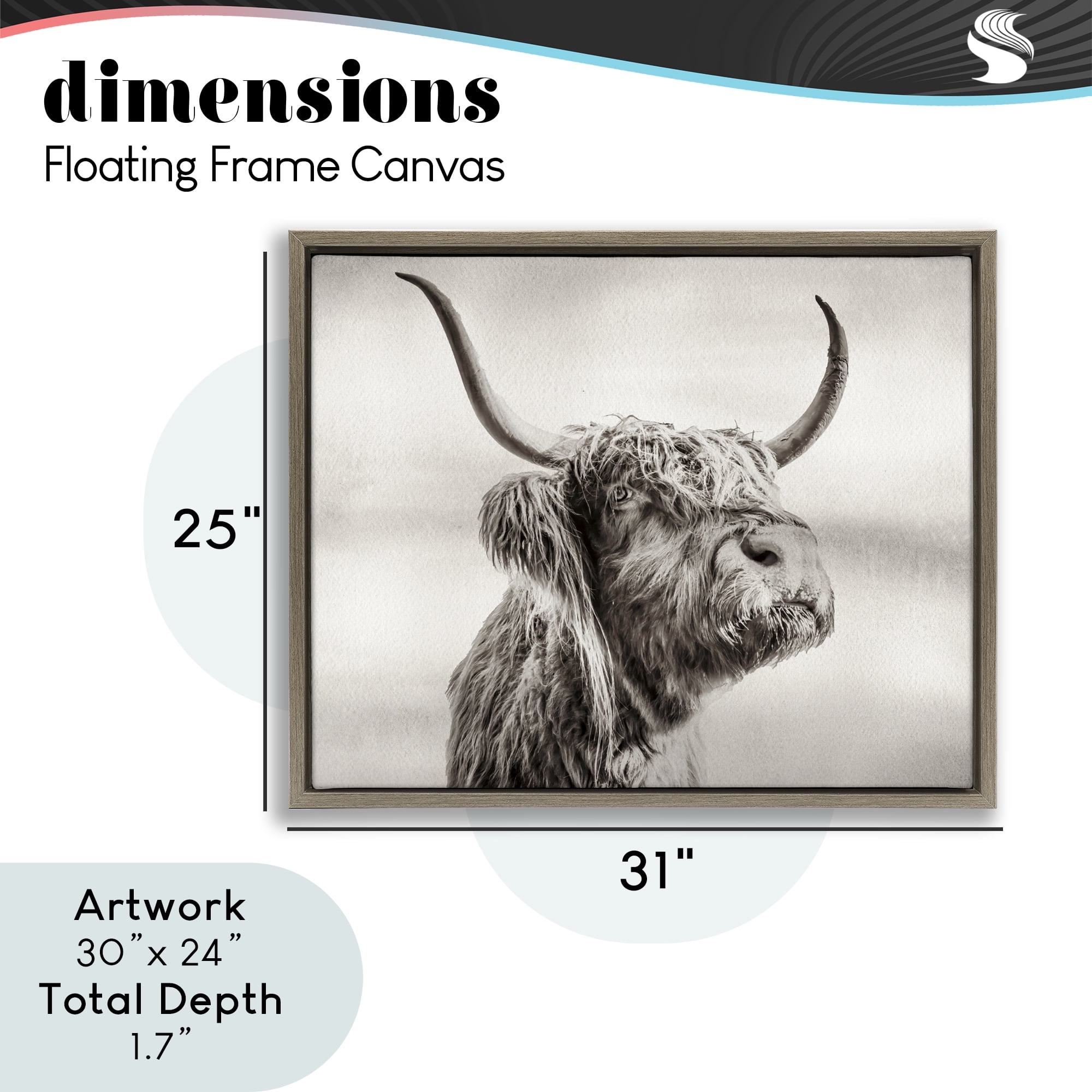 Stupell Industries Horned Highland Cow Gazing Brown Framed Floater Canvas Wall Art, design by Julia Frost