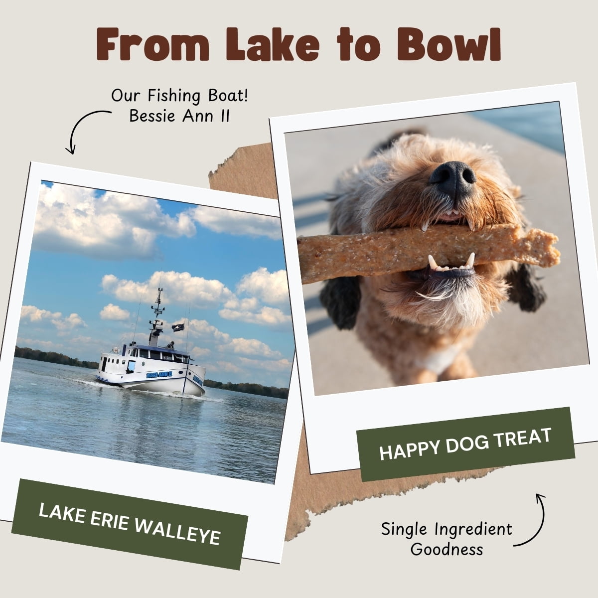 Taylor Fish Smelt Trainers, Dehydrated Whole Lake Erie Smelt for Dogs, 113g