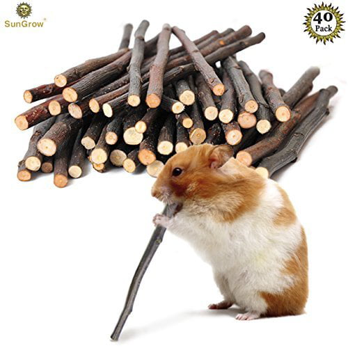 Apple Cinnamon Chew Sticks - Molar and Teeth Grinding Toy for Small Pets -  Pet Snack for Rabbits, Chinchillas, Hamsters, Guin 