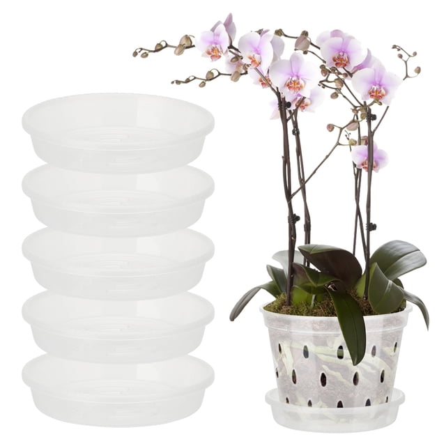 Maceta De Orquídeas De Plástico Transparente De 5 Pulgadas, Macetero De Orquídeas Transparente Con Agujeros Para Jardín Interior Y Exterior, Macetero Ligero
