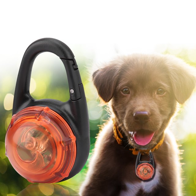 Collier Lumineux pour Animaux de Compagnie, Collier Lumineux pour Animaux de Compagnie, Collier Lumineux pour Animaux de Compagnie, Lumière de Marche pour Animaux de Compagnie