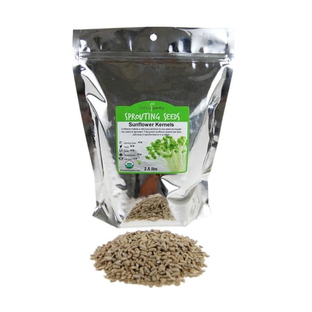 Organic Hulled Sunflower Seeds (No Shell): 2 Lbs - Non-GMO, Raw, Sprouting Seed Kernels - Grow Sun Flower Sprouts