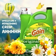 Gain Laundry Detergent Liquid with Odor Fighters, Original Scent, 154 fl oz, 107 Loads