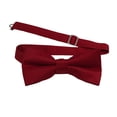 thumbnail image 5 of Men’s Apple Suspender and Matching Bow Tie in a variety of colors by Spencer J’s Signature Satin Collection, 5 of 9