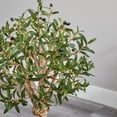 thumbnail image 4 of Nearly Natural 3.5 ft. Olive Artificial Tree in White Tower Planter, 4 of 4