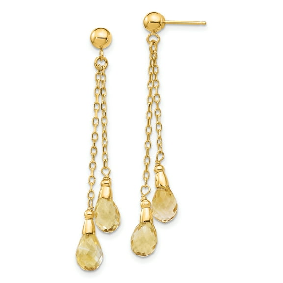 Primal Gold 14 Karat Yellow Gold Citrine Dangle Earrings