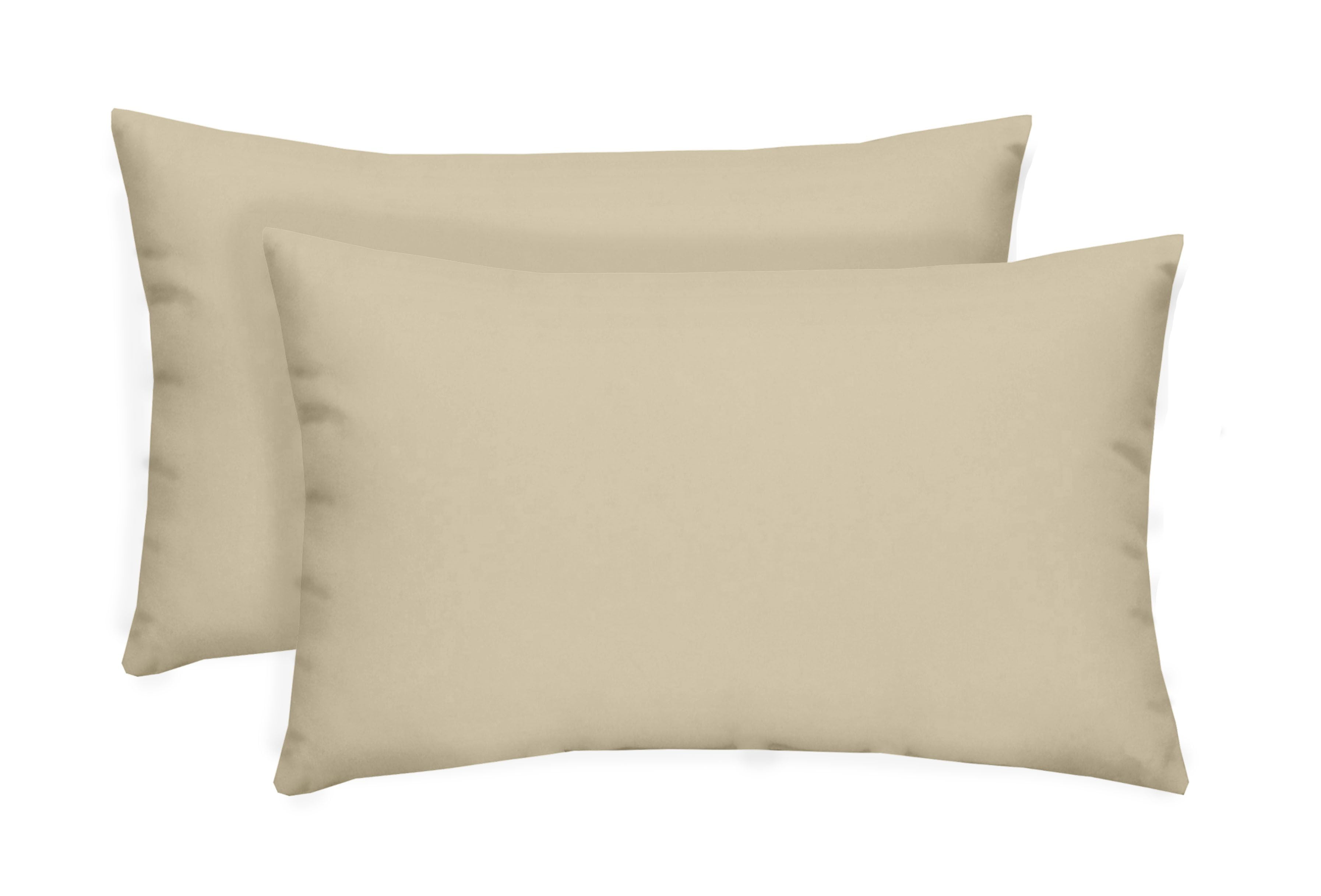 RSH Décor Indoor Outdoor Set of 2 Pillows 20" x 12", Ivory