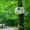 As Shown, variant on LACKUST Bird Feeders Outdoor Clearance,HD 1080P Night Vision Bird Feeder Camera with WiFi for Outdoor Bird Watching and Photo Capture,As Shown