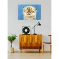 thumbnail image 2 of Scared Kitten Poster - Kayomi Harai Designs,, 2 of 3