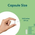 thumbnail image 5 of BESTVITE Biotin 10,000mcg (240 Vegetarian Capsules) No Stearates or Flow Agents, 5 of 7