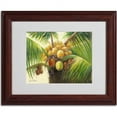 thumbnail image 2 of Trademark Fine Art "Coconut Palm II" Canvas Art by Victor Giton, Wood Frame, 2 of 3