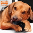 thumbnail image 2 of Juguete masticable Nylabone Strong MAX Cone para perros con sabor a ternera, 2 of 9
