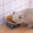 thumbnail image 2 of Pet Anti-Strip Bowl For Protecting Cats And Dogs Spine And Better Digestion, 2 of 6