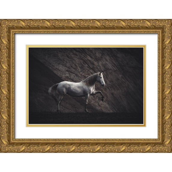 Willers, Heike 32x23 Gold Ornate Wood Framed with Double Matting Museum Art Print Titled - Solitaire