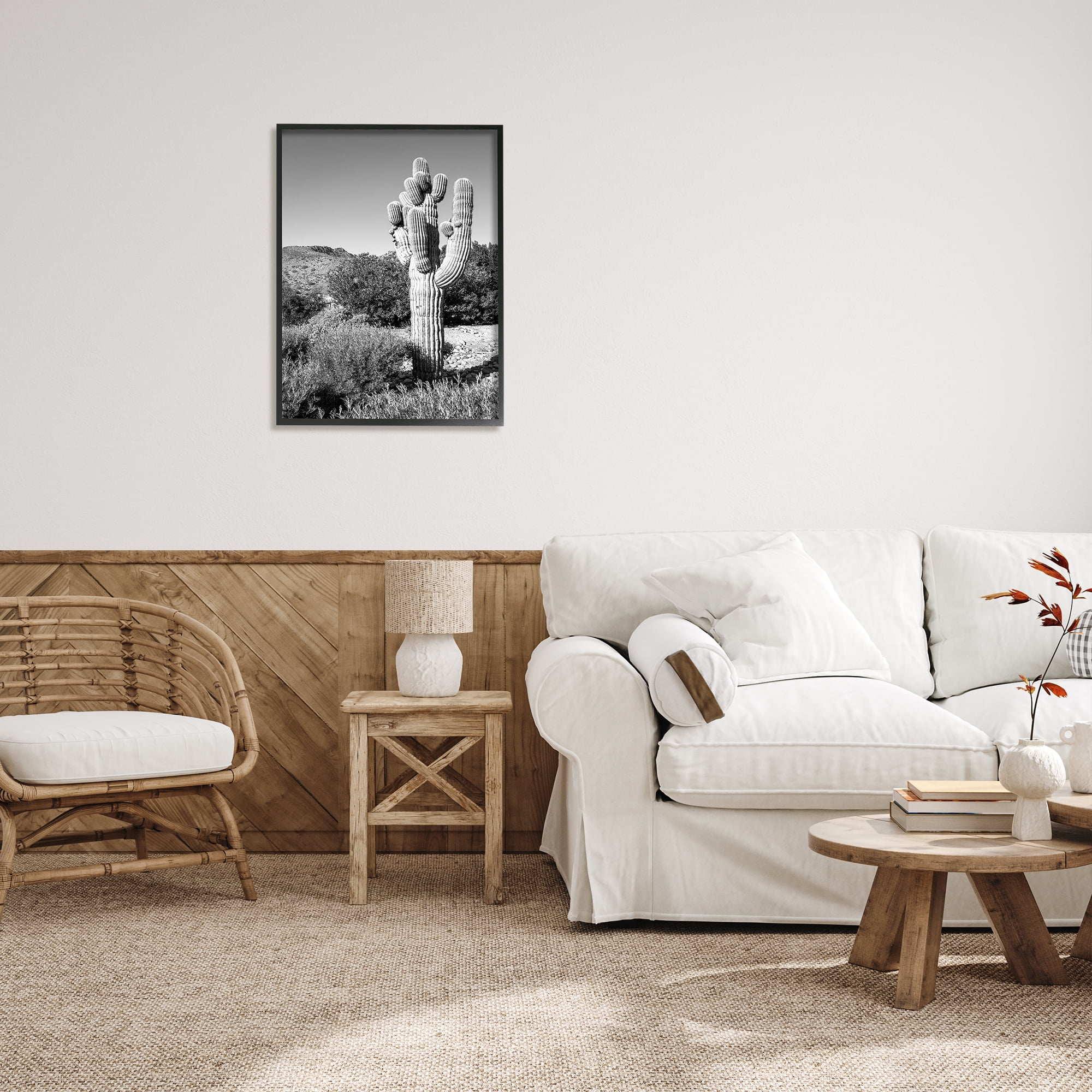 Stupell Indtries Thick Desert Cact Black White Photography Canyon Landscape,24 x 30,Design by Bill Carson Photography