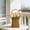 B, variant on YardChic Natural Handmade Tree Bucket Planter, Charming Rattan with Waterproof Lining, Small Wicker Basket with Handle for Wedding Flower Petals, Confetti, Candy, Gift, Storage & Home Decor