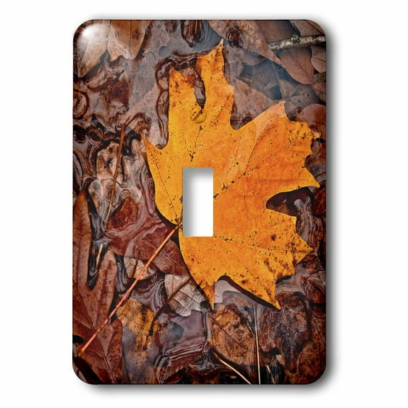 3dRose, Autumn Leaf, single toggle switch