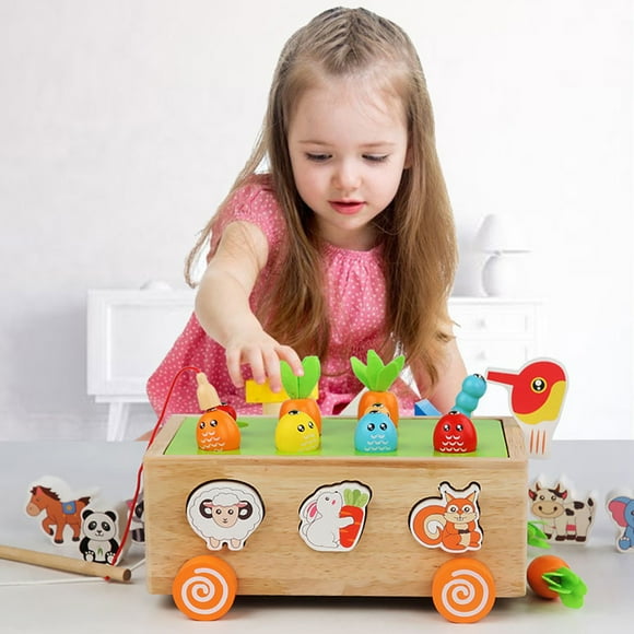 Montessori Wooden Farm Puzzle Toy for 1 2 3 Year Olds Colorful Carrot Harvest Game with Worms Fish Magnetic Catching Activity Educational Learning Toy for Toddlers Boys Girls