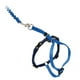 thumbnail image 1 of Arnés PetSafe Come With Me Kitty para gatos, color azul medio, 1 of 1