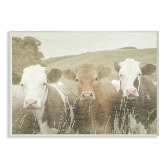 Stupell IndustriesHappy Neighbors Cows in the FieldWall Plaqueby Daphne Polselli