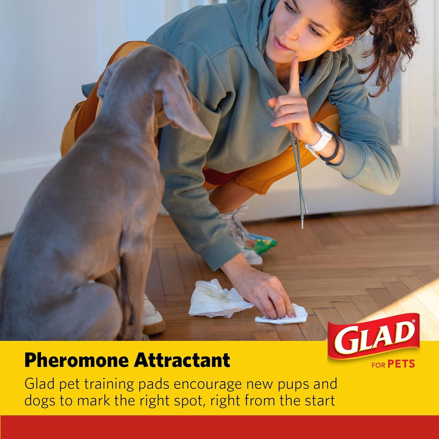 (4 pack) Glad For Pets Heavy Duty Activated Carbon Dog Training Pads 24" x 24" 100ct