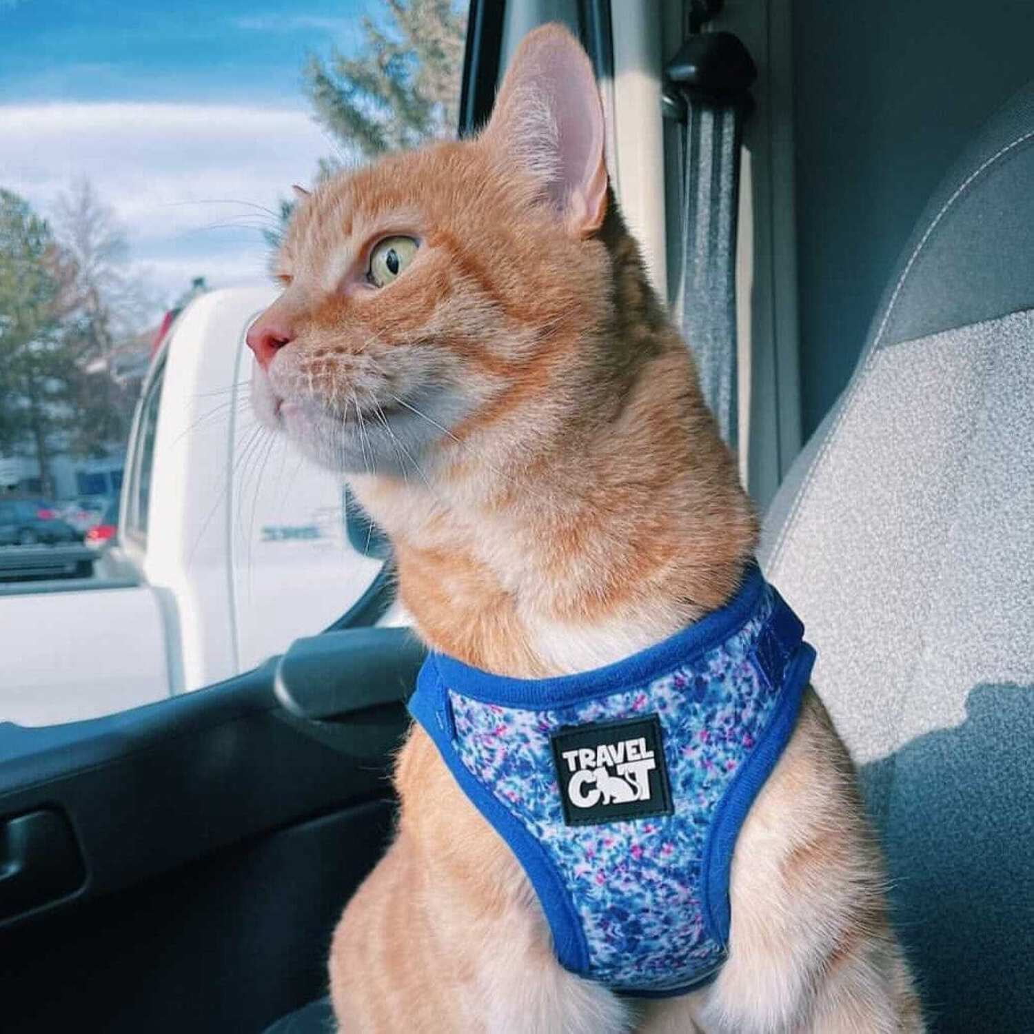 "The Groovy Cat" Tie Dye Limited Edition Harness  Leash Set