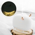 thumbnail image 5 of Rociador facial, humidificador ultrasónico elegante portátil de 260 ml, mini generador de niebla, muy versátil, 5 of 5