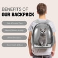 thumbnail image 3 of Mochila portabebés Dorphy Space Capsule para gato y perro, color gris, 3 of 7