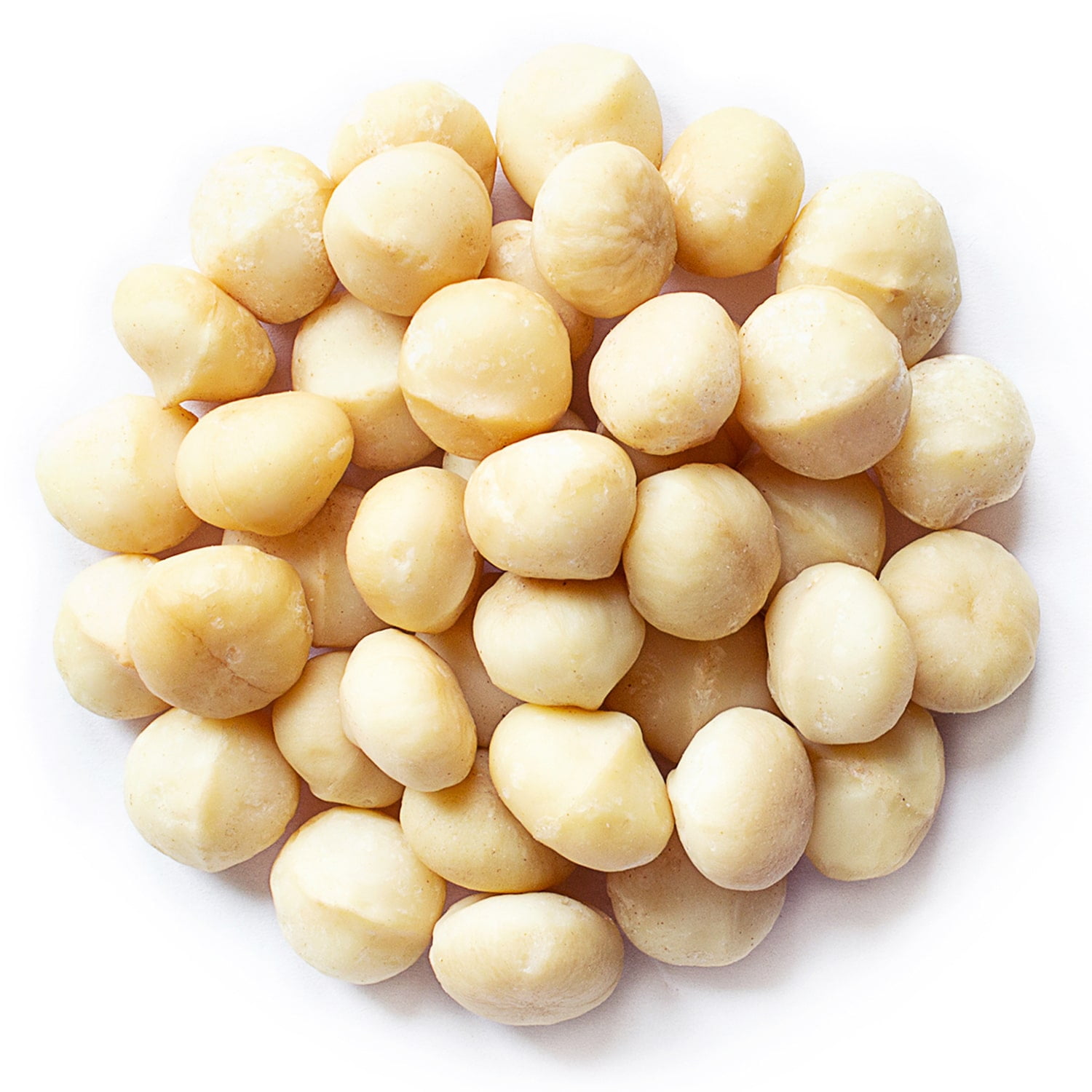 Organic Whole Macadamia Nuts, 8 Pounds - Non-GMO, Raw, Kosher, Vegan - by Food to Live