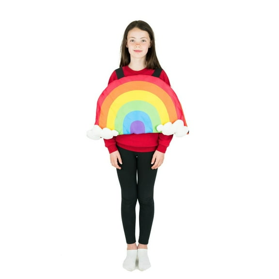Rainbow of Colours Costume for Kids (Age 6 )