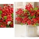 thumbnail image 5 of Monstrate 10 piezas de bayas artificiales que admiten mascotas, seguras y no tóxicas para amigos peludos, flores artificiales Decoración lechoso 25cm, 5 of 6