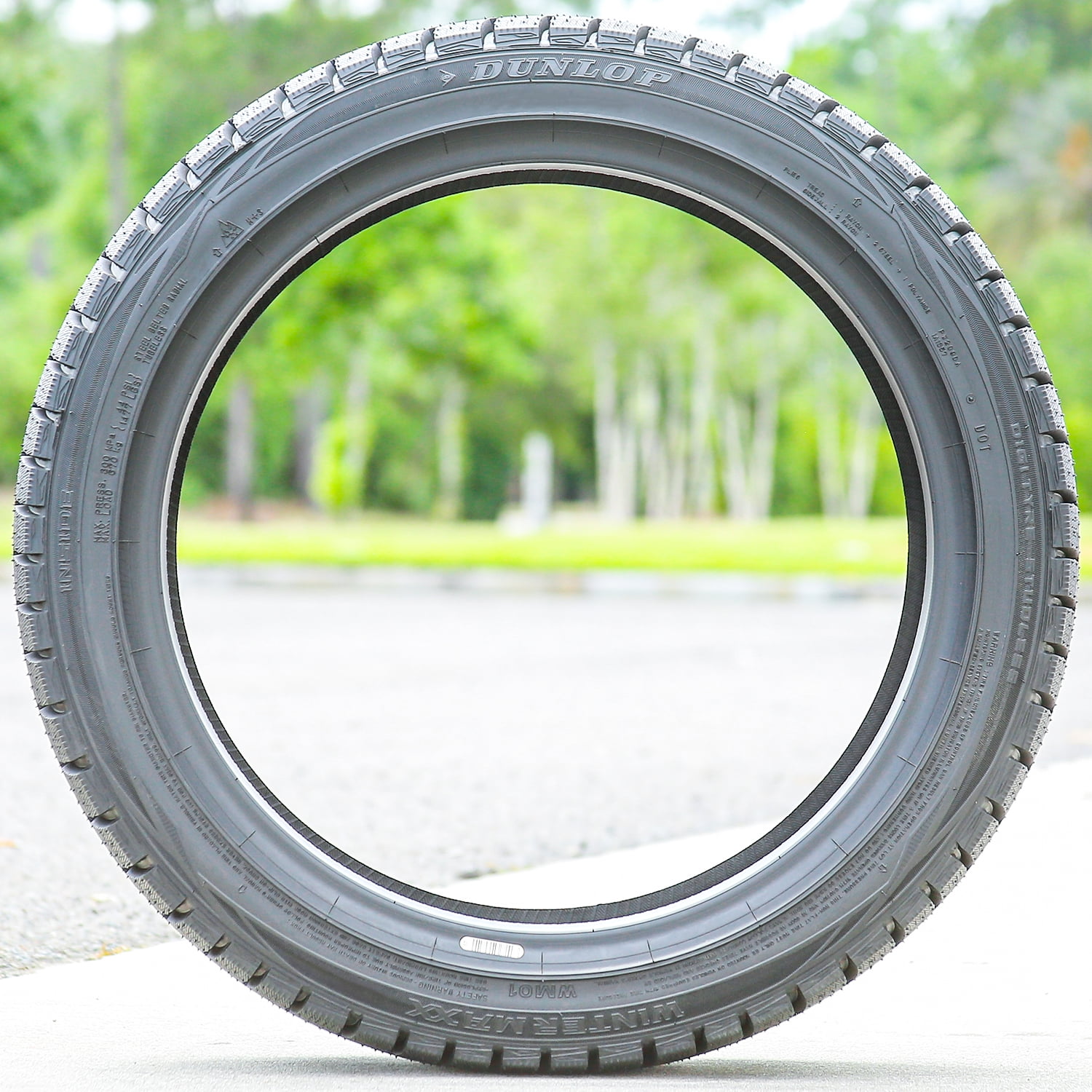 Dunlop Winter Maxx Winter 195/65R15 91T Passenger Tire