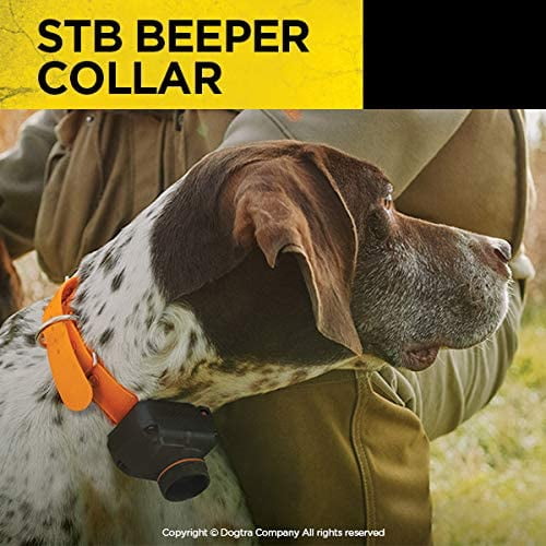 Dogtra beeper hot sale