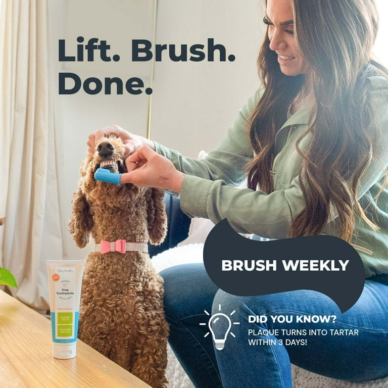 Oxyfresh Premium Dog Dental Gel Toothpaste for Plaque Control