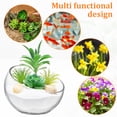 thumbnail image 2 of 2 Pcs Glass Planters Glass Fish Bowl Glass Flower Pots Succulent Planter Pot Round Flower Vase, 2 of 9