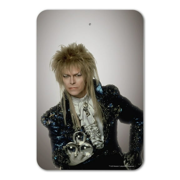David Bowie As Jareth From The Labyrinth Home Business Office Sign