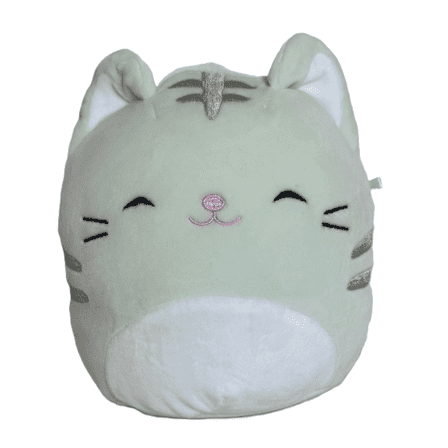 Squishmallows 12 Inch Chase the Light Green Cat