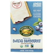 Angle View: Nature'S Path Frosted Buncha Blueberries Toaster Pastries, 6 Bars