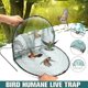 thumbnail image 3 of Humane Bird Trap Cage for Pigeons & Sparrows Easy Catching Solution, 3 of 4