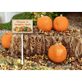 thumbnail image 3 of Eveokoki Welcome To Pumpkin Patch Decorations Yard Sign Decorative Garden Stakes Aluminum Outdoor Lawn Signs for Halloween Party Yard Lawn Garden Decorations, 3 of 4