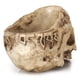 thumbnail image 4 of Maceta Flowerpot de resina con diseño gótico de calavera para suculentas, 600 g, 4 of 5
