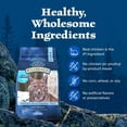 thumbnail image 5 of (Pack Of 4) Blue Buffalo Food Cat Adult Chicken Indoor 4 Lb, 5 of 7