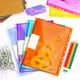 thumbnail image 4 of Carpeta Transparente NQ con Cierre de Velcro 11 Agujeros Tamaño Carta, 4 of 5