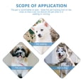 thumbnail image 4 of 1Pc Protective Case Pet Collar Clamps Protector Compatible with Apple AirTags, 4 of 7