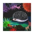 thumbnail image 1 of Sea Urchin Reflection - Canvas, 1 of 10