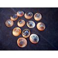 thumbnail image 2 of Set of 24 Red Cat Eye Shells (Shiva Shells) Operculum (Size (small) 1/2"-1" (13-26 mm) for Crafts and Nautical Beach Cottage Decor, 2 of 3